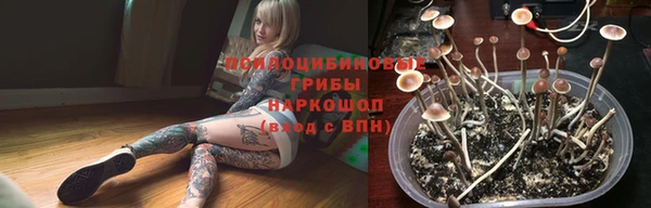 ГАЛЛЮЦИНОГЕННЫЕ ГРИБЫ Вязники