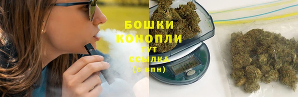 ГАЛЛЮЦИНОГЕННЫЕ ГРИБЫ Вязники