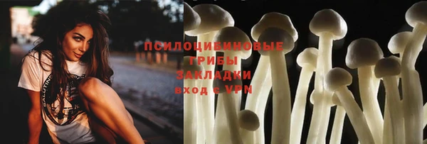 ГАЛЛЮЦИНОГЕННЫЕ ГРИБЫ Вязники
