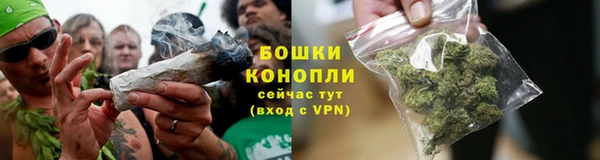 PSILOCYBIN Дмитриев