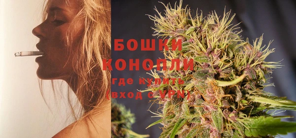 бошки Вяземский