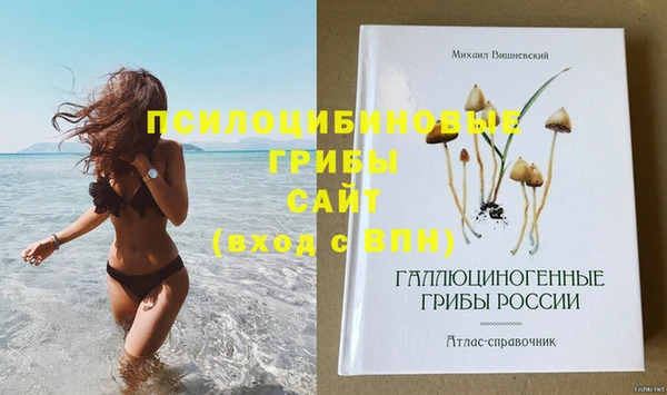 бошки Вяземский