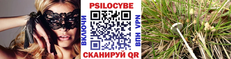 Галлюциногенные грибы Magic Shrooms  Купить где  Клинцы 