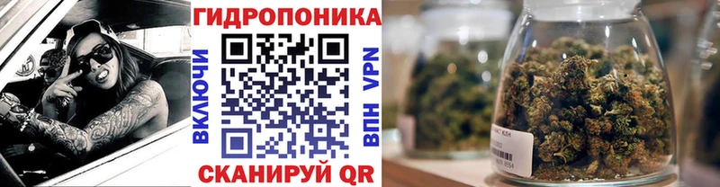 Купить закладки  Клинцы  Марихуана THC 21% 
